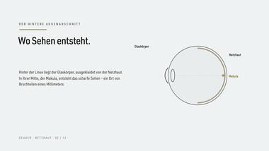 Netzhaut 02