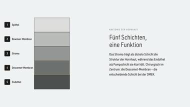 R050 · Beweis — ERKLÄR-DECK: Hornhaut-Schichten