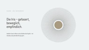 R081 · Auftakt — Franco Grignani