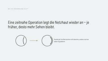 R090 · Abschluss — ERKLÄR-DECK: Netzhautablösung / Amotio retinae