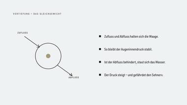 R126 · Vertiefung — ERKLÄR — Kammerwasser-Kreislauf